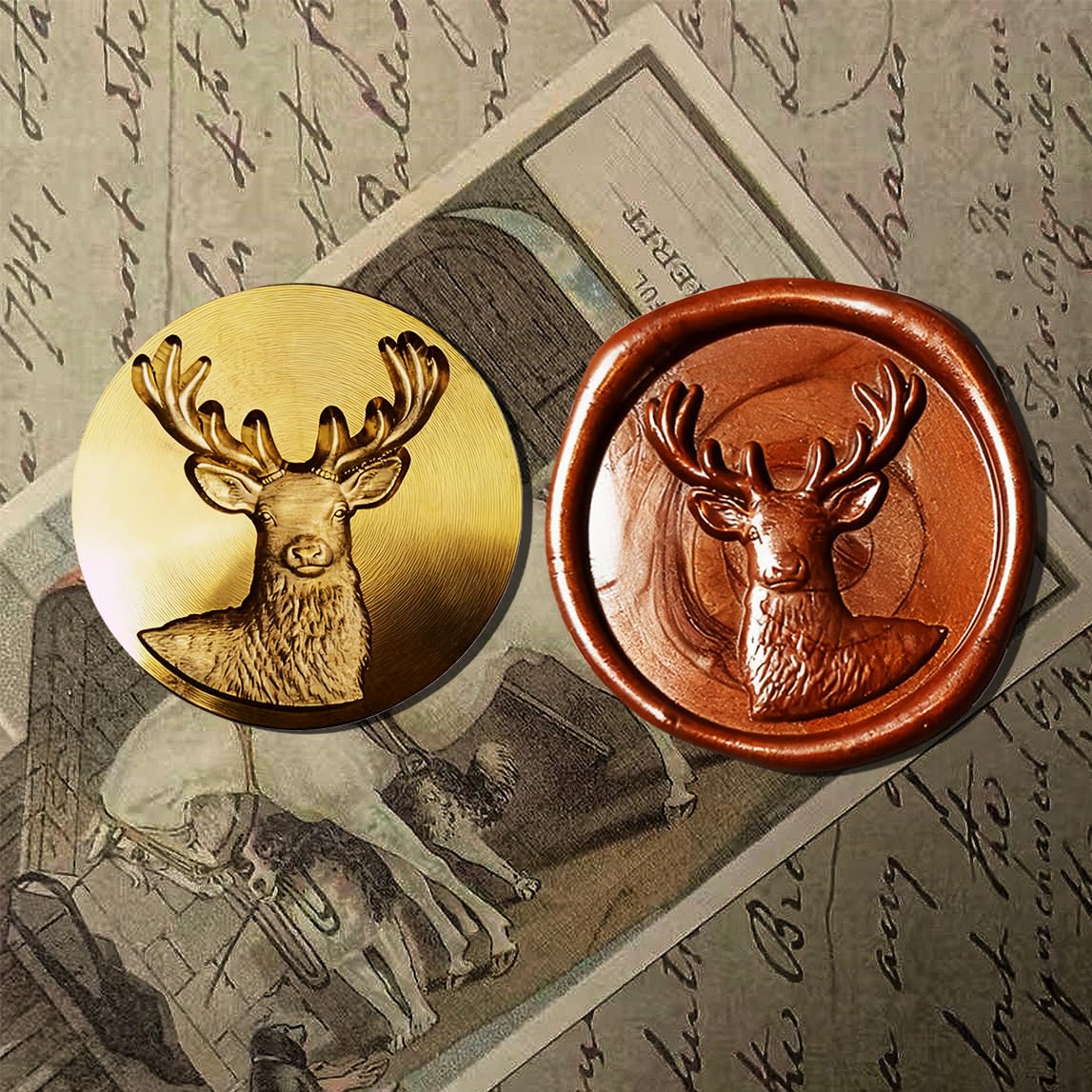 View 3