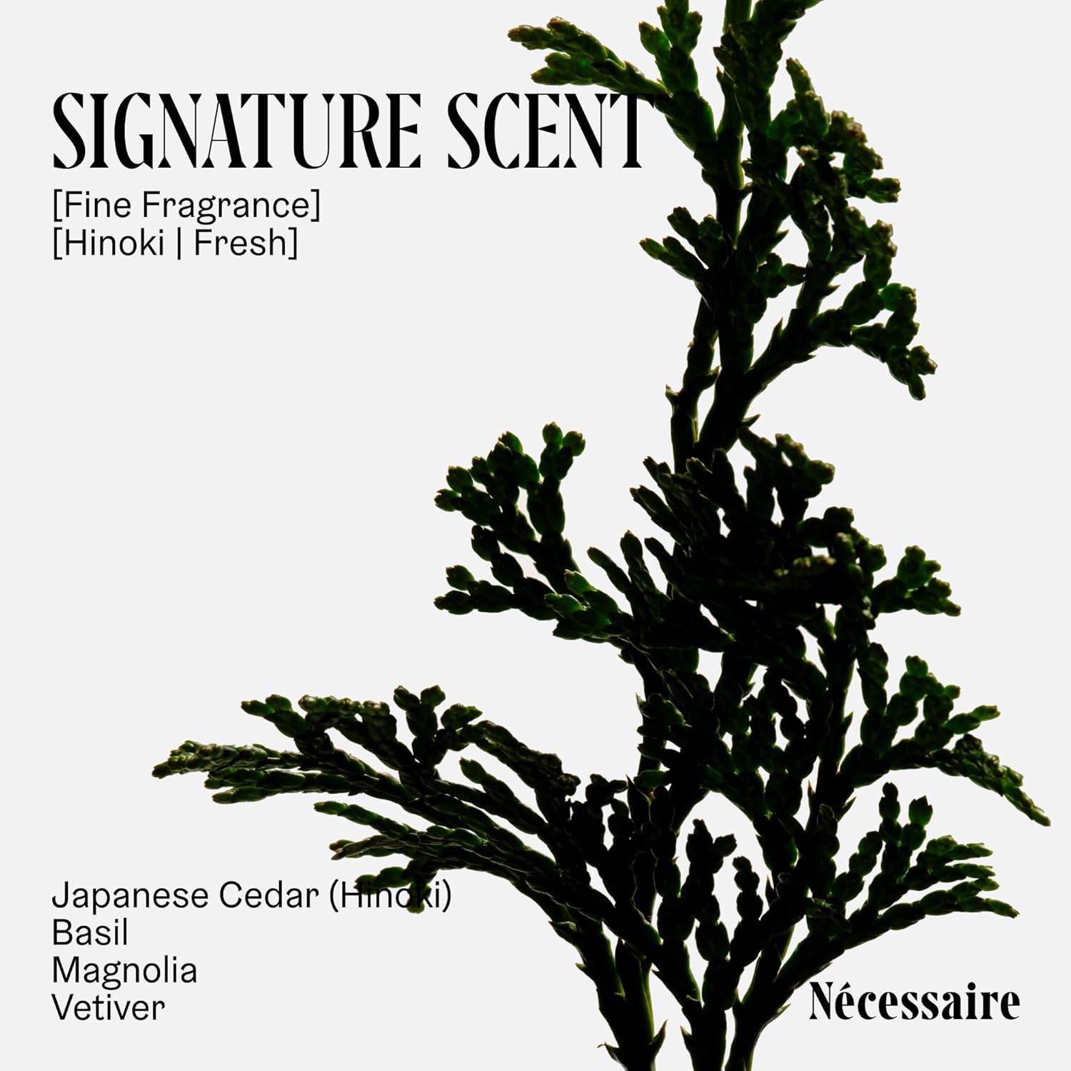 Nécessaire The Body Wash Hinoki. Multi-Oil Shower Gel Body Wash for Women + Men. Non-Comedogenic + Hypoallergenic for Sensitive Skin with Niacinamide. 500ml/16.9 fl oz - Image 5