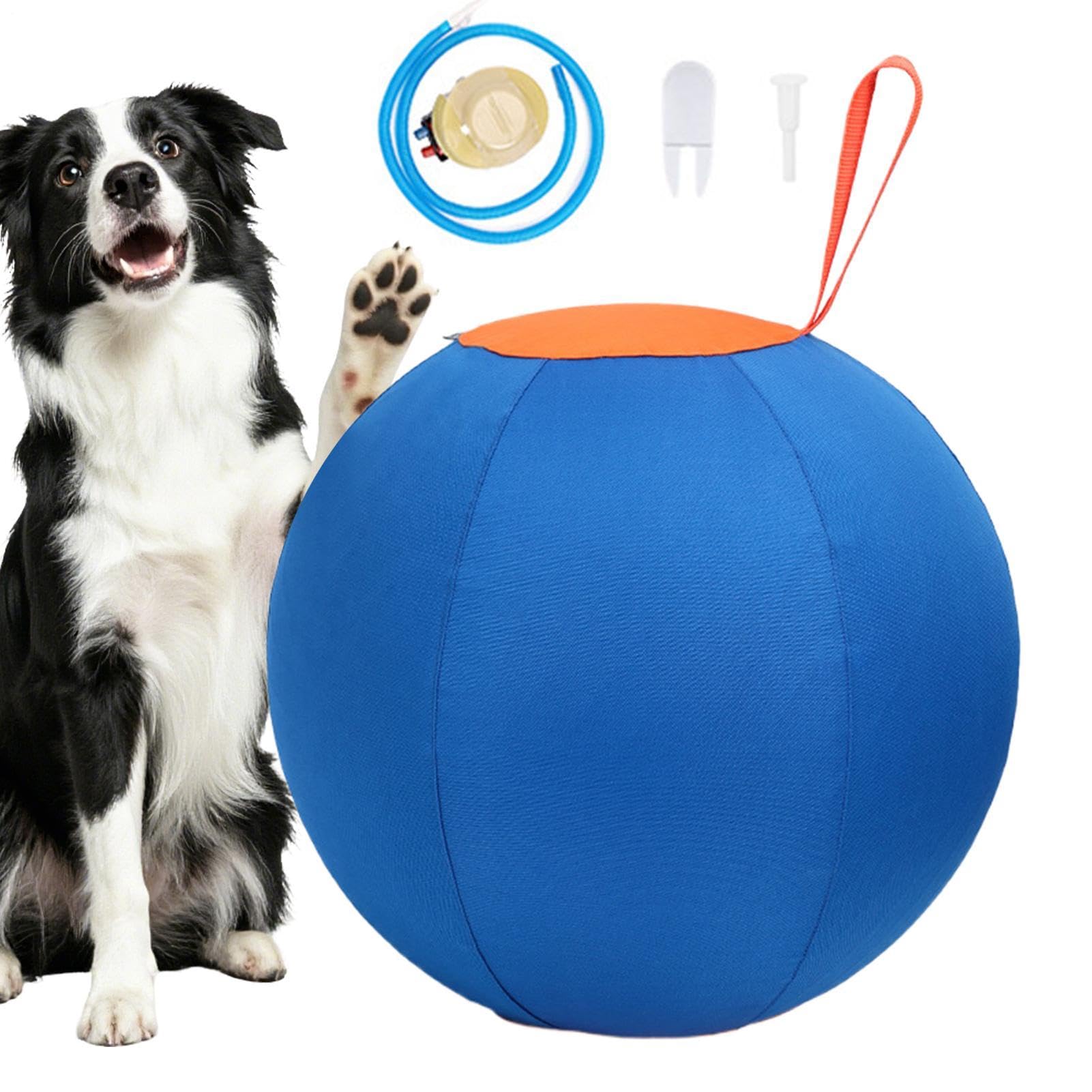 Pelota de Pastoreo para Perros Grandes Mordedor inflable para cachorros | Pelota Relajante para Perros Para Amantes de Mascotas, Entrenadores, Jardín, Parque, Hogar, Salón, Estudio, Refugios