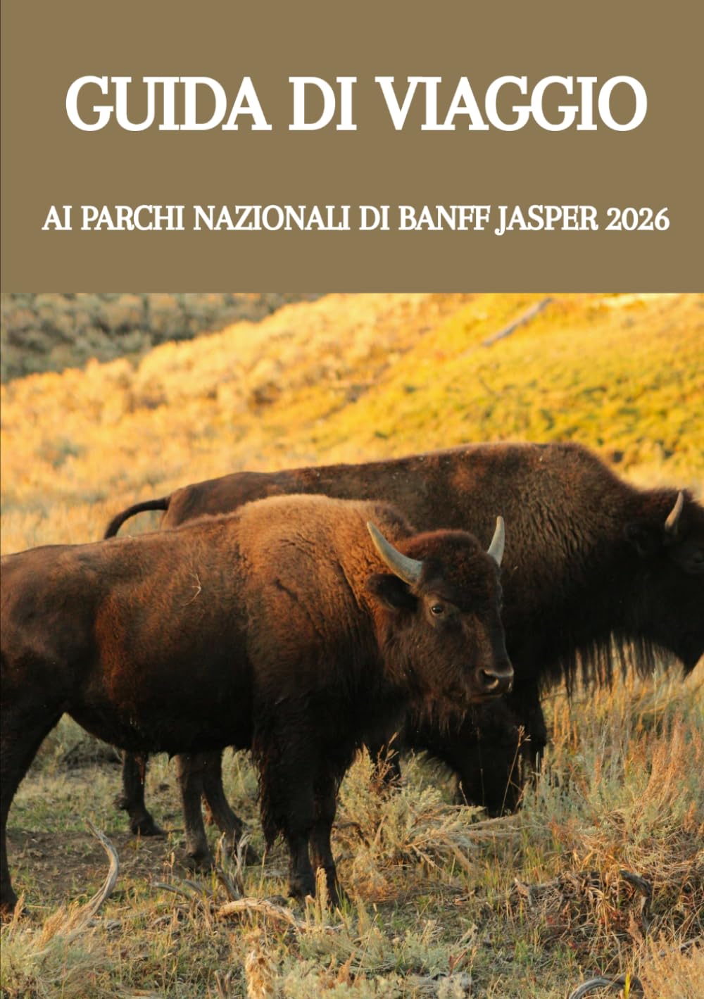 GUIDA DI VIAGGIO AI PARCHI NAZIONALI DI BANFF JASPER 2026: La guida definitiva alle Montagne Rocciose del Canada: tesori nascosti, percorsi panoramici e avventure indimenticabili.