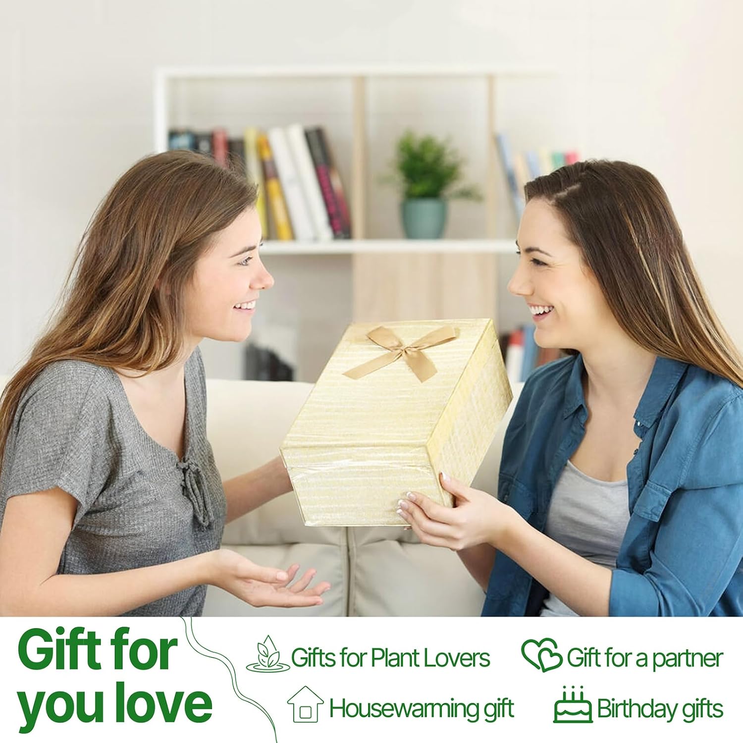 Plant Propagation Stations Heart Plant Terrarium Kit Gift for Women Plant Lover Glass Vases - Image 6