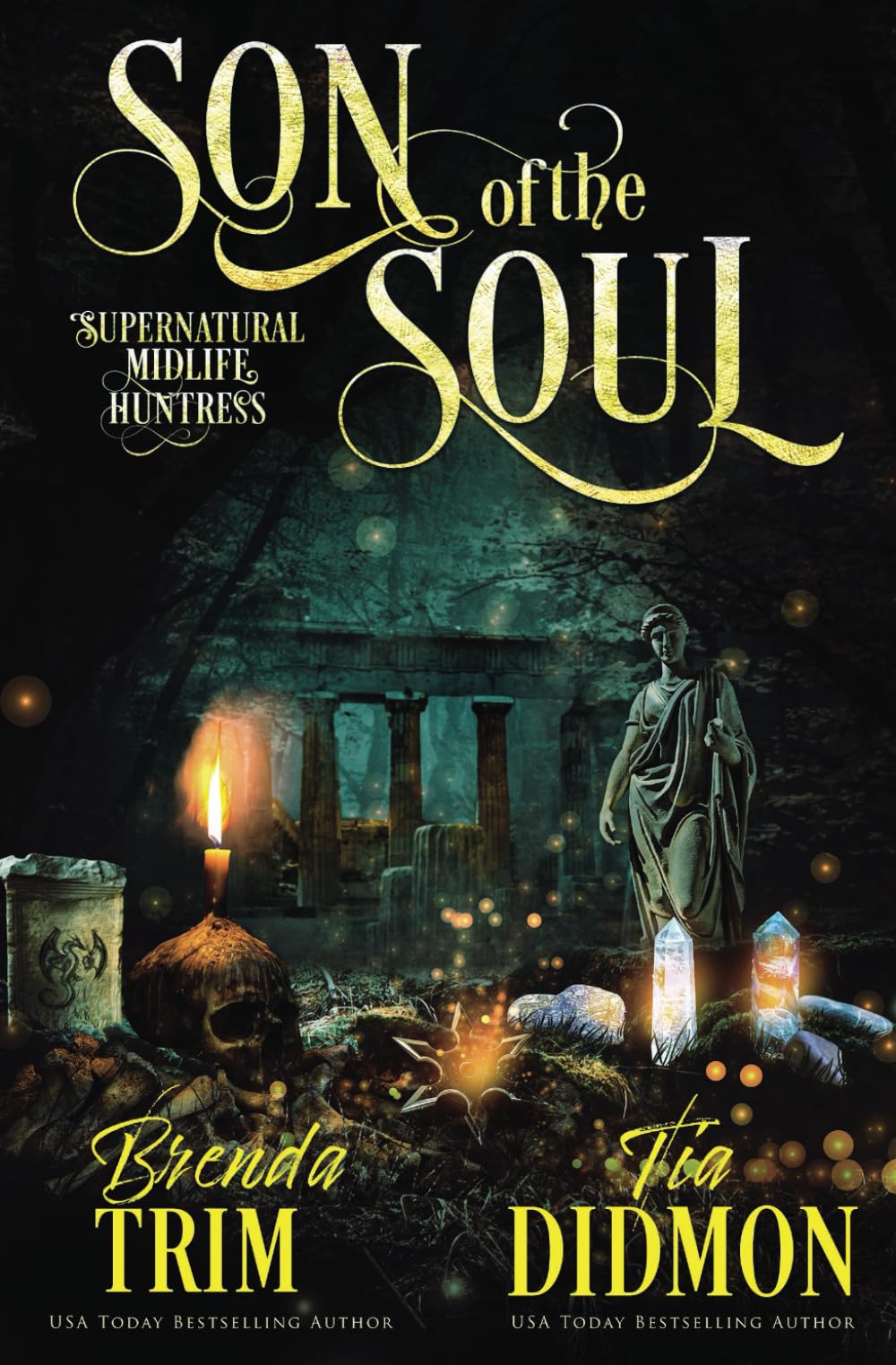 Son of the Soul: Paranormal Women's Fiction (Supernatural Midlife Huntress): 17 (Shrouded Nation)