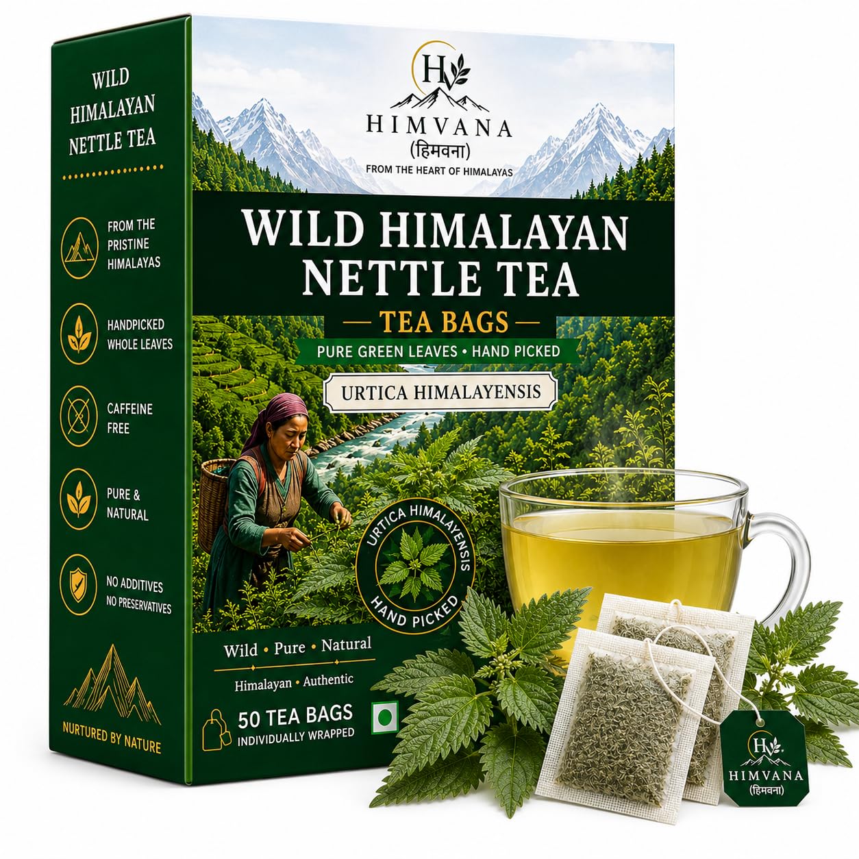Wild Himalayan Nettle 50 Tea Bags, Rare Urtica Himalayensis, Handpicked from 8500 Feet, Premium Herbal Tea. Rich & Velvety Taste. Whole Leaf Tea Bags. Rich in Antioxidants, Vitamins & Minerals. Grows Only at High Altitude in the Himalayas. Supports Detox, Weight Management, Joint Pains, Overall Well Being. (50 Servings)-picture-24