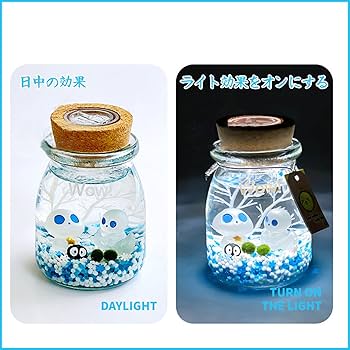 Amazon.co.jp: ミニ水族館 マリモ 水槽 デスクトップ