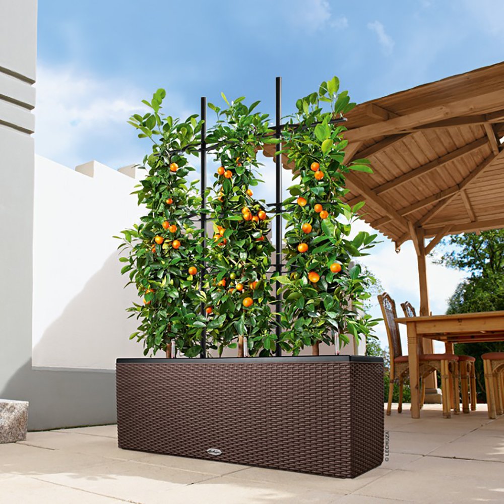 Lechuza Trio Cottage 30 Pflanzgefäß mit ERD-Bewässerungs-System, Granit, 100 x 32 x 34 cm & Trio Cottage 30 Rankgitter, Neutral