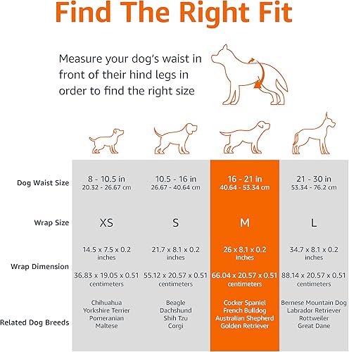 Miniatura 4 de Tienda Basics Pañales desechables para perros machos, tamaño mediano, 50 unidades, color blanco