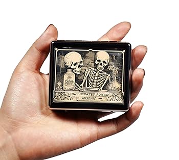 Silver Double Lidded Pill Box シルバーピルケース Silver Double Lidded Pill Box シルバーピルケース Amazon.com