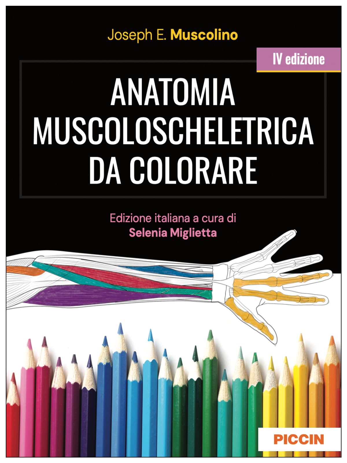 Anatomia muscoloscheletrica da colorare