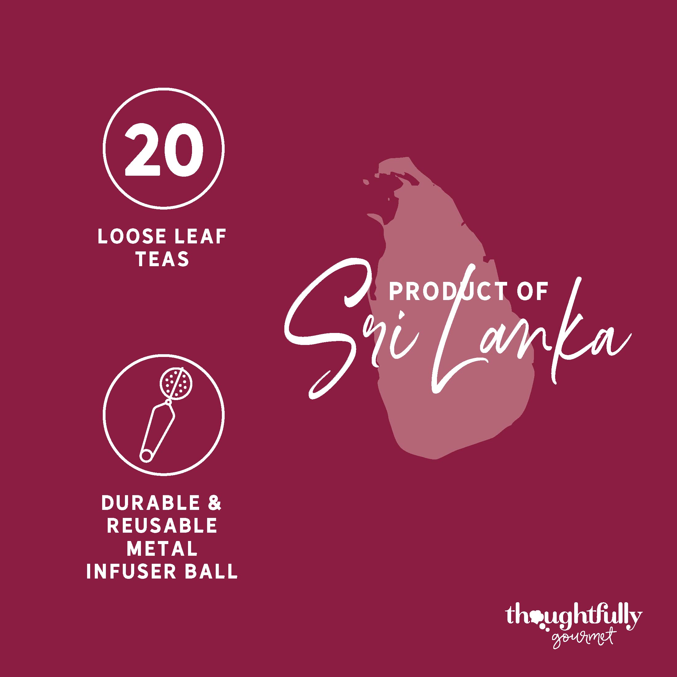 Modern Gourmet Foods, Kit de Infusión de Té de regalo, incluye 25 tés de hoja suelta de sabor único y un infusor de té, paquete de 25