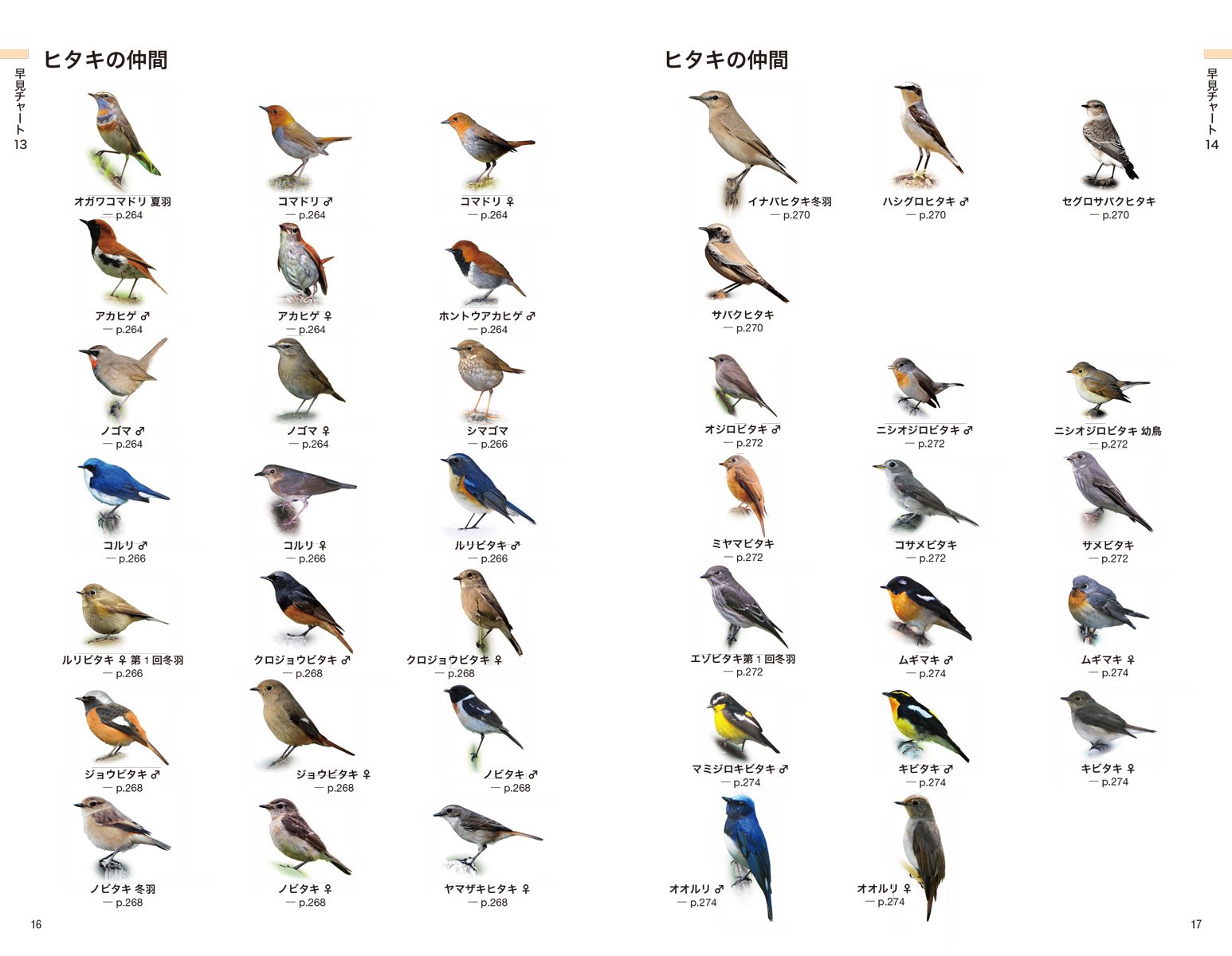 日本の野鳥識別図鑑 知りたい野鳥が早見チャートですぐわかる 泰敬 中野 拓哉 叶内 凱巳 永井 本 通販 Amazon
