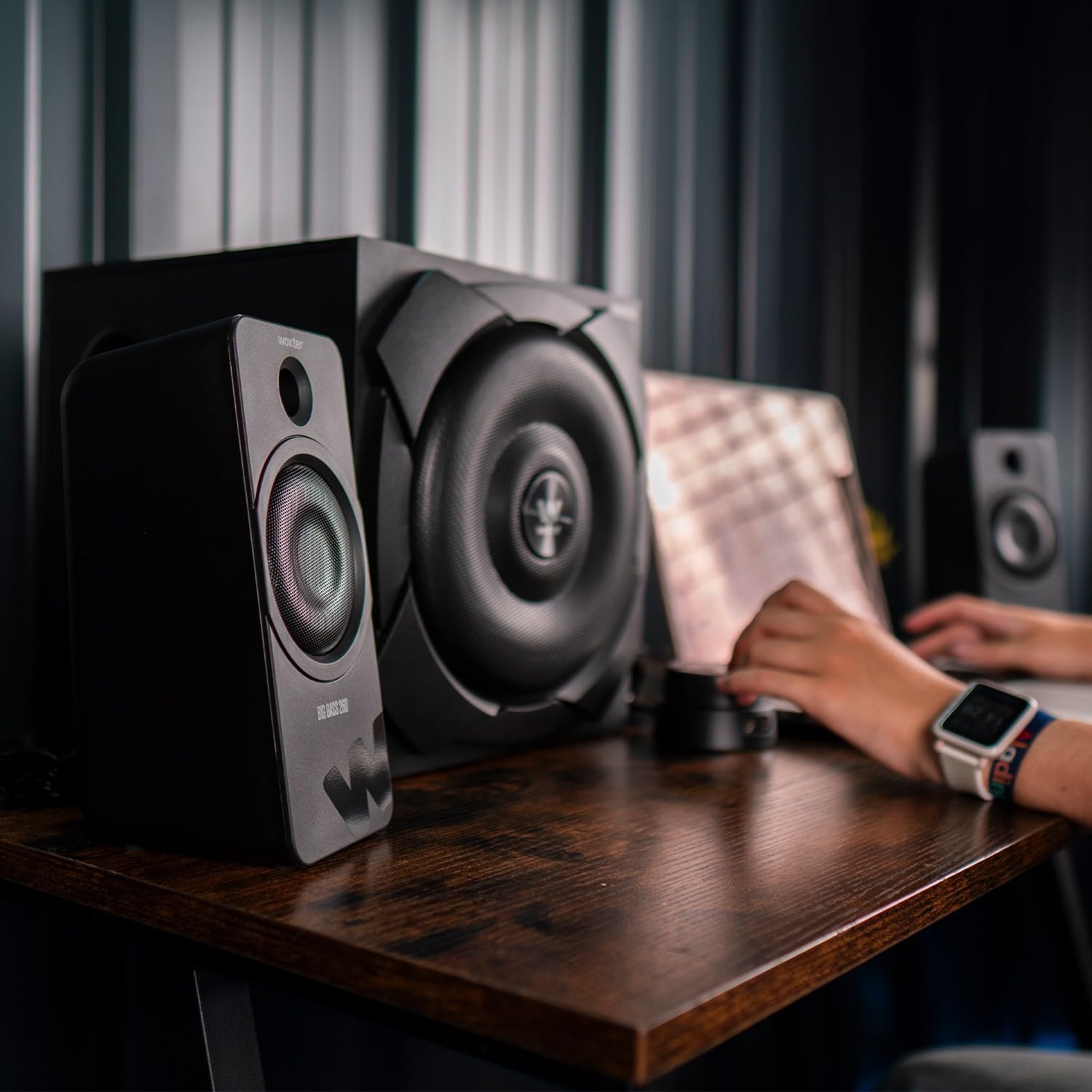 Woxter Big Bass 260