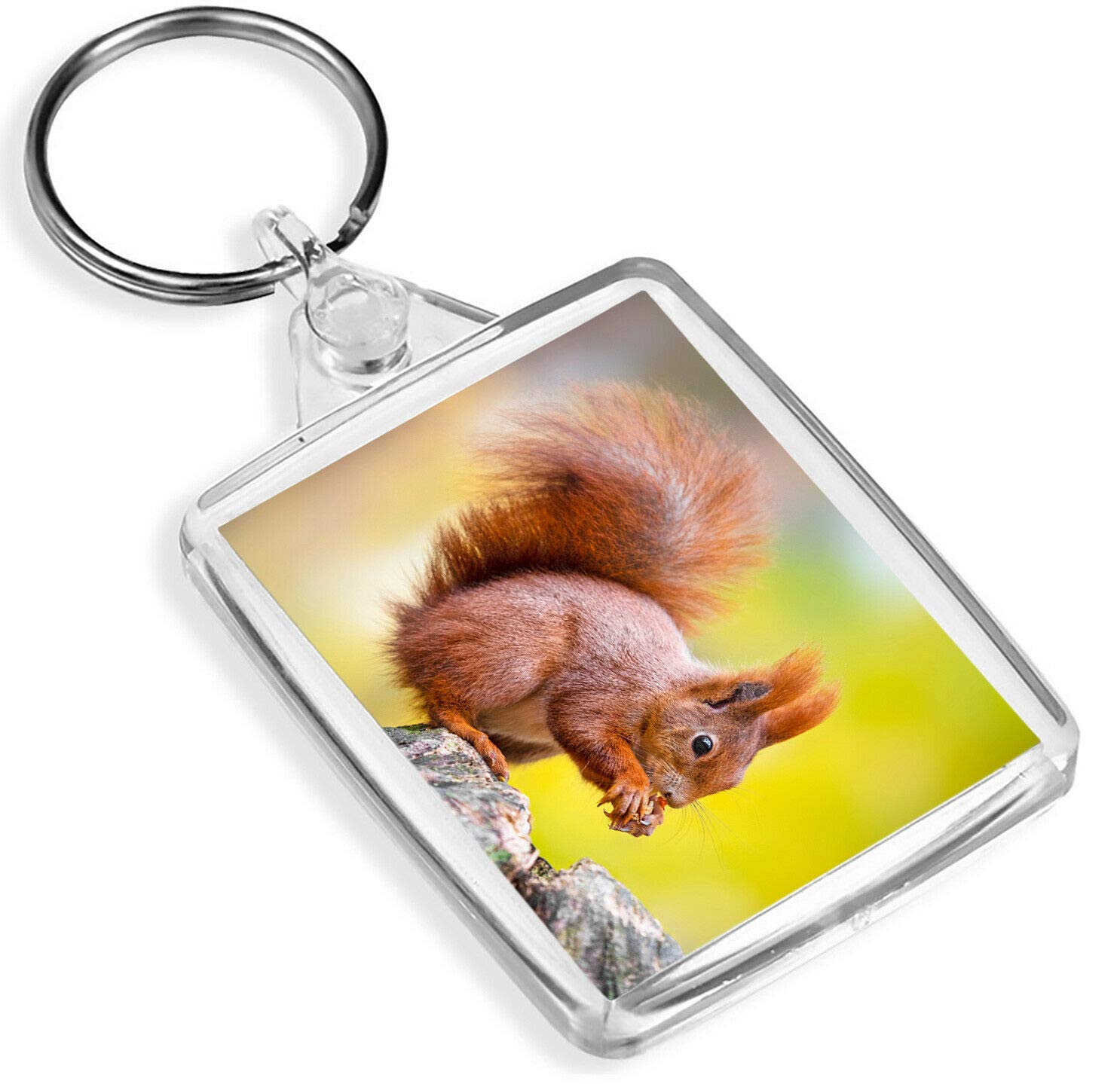 Destination Vinyl Keyrings Unisex Multi Wild Squirrel Keyring - Ip02 - Woods Cute Red Squirrels Forrest 16976