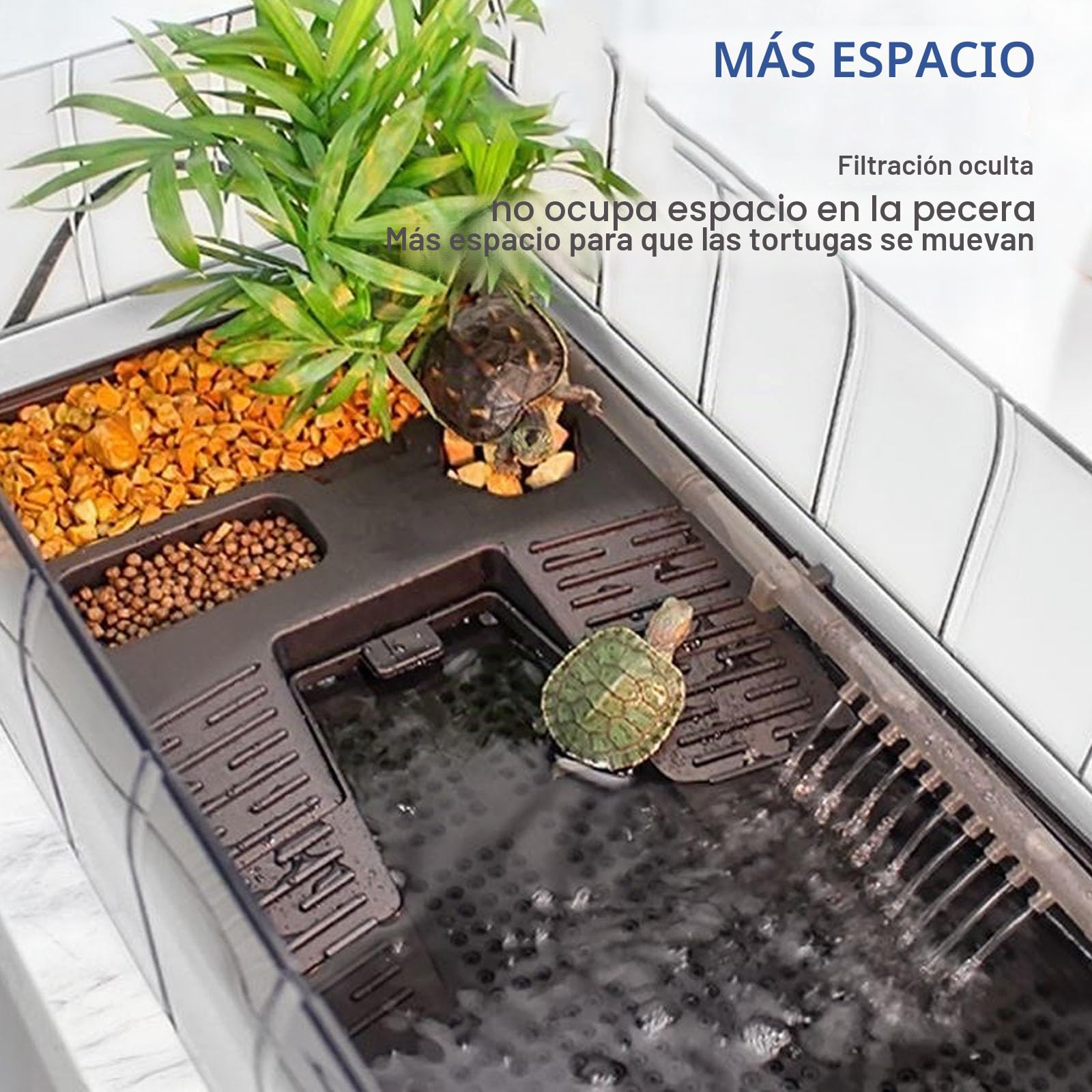 Terrario Tortugas de Tierra con Filtro de Agua para ducha| Acuario Plástico Tortugas de Agua | Kit Completo con Sistemi de Filtración | Caja para Cría de Reptiles y Fauna Box | Tanque Tortuga(Green Wi
