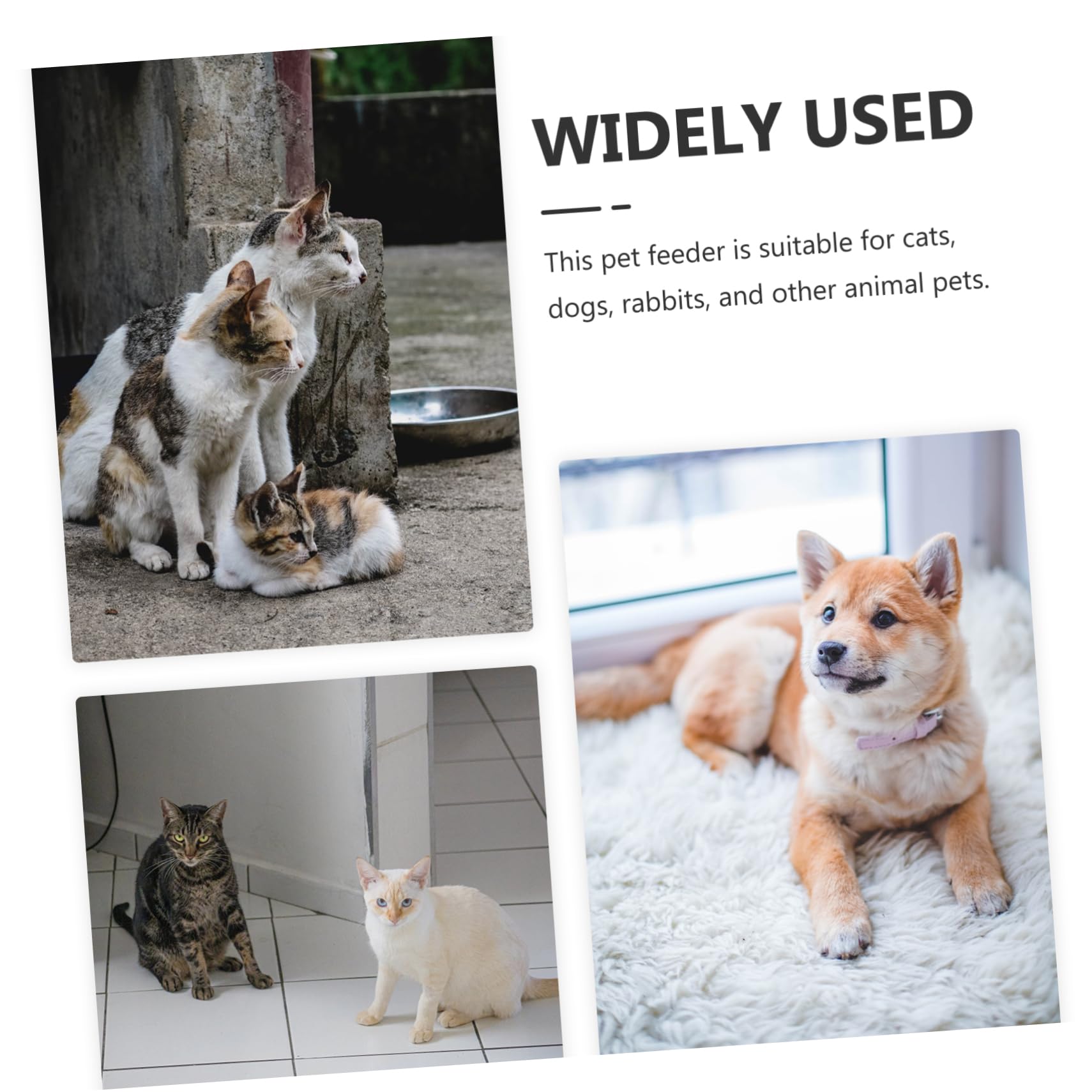 Kisangel Erhöhter Katzennapf rutschfest und bissfest mit Schrägem Design aus Keramik zum Schutz der Nacken Gesundheit für Katzen und Hunde im Haushalt