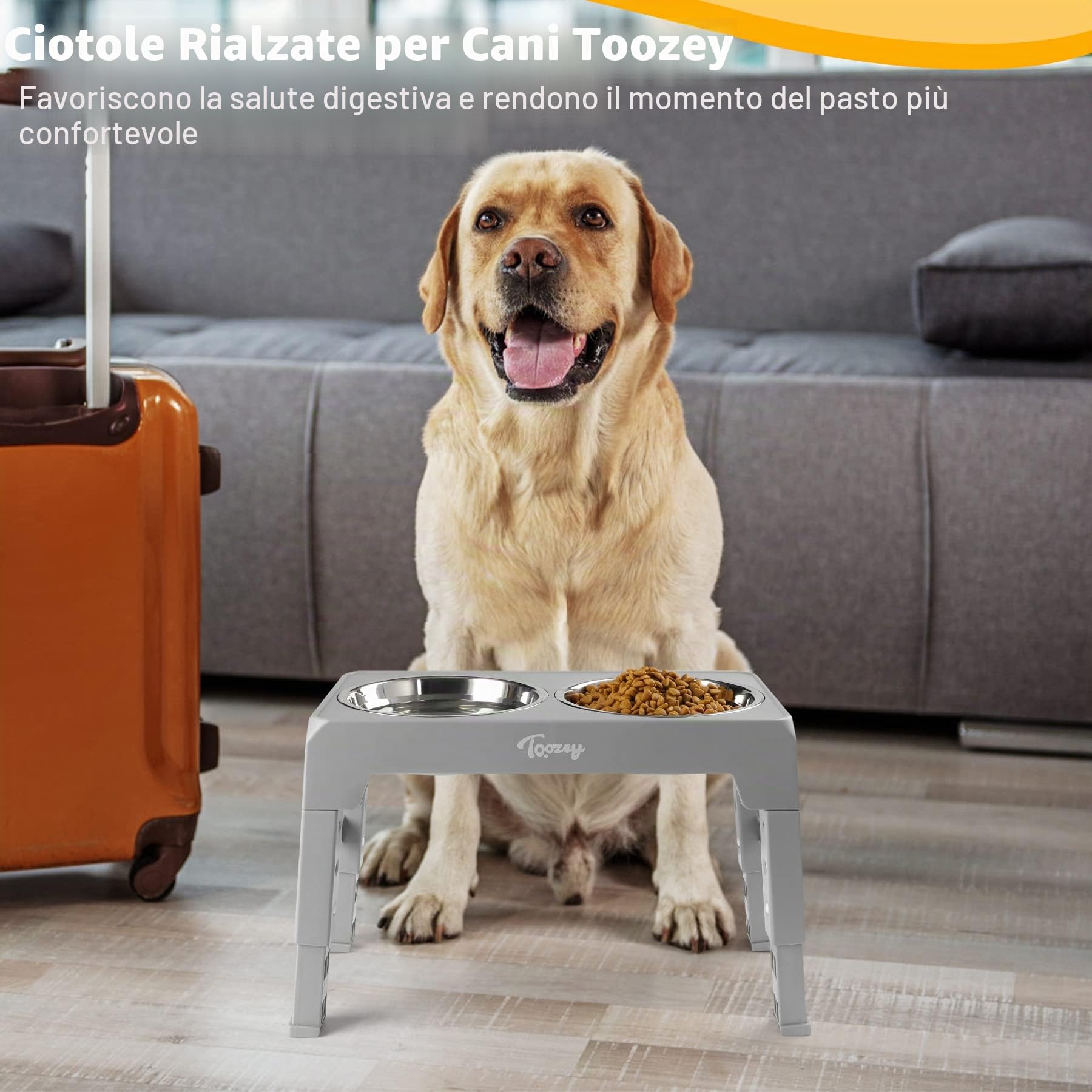 Toozey Ciotola per cani, mangiatoia con 2 ciotole in acciaio inox da 1200 ml, per cani medi e grandi, 4 ciotole regolabili in altezza, grigio