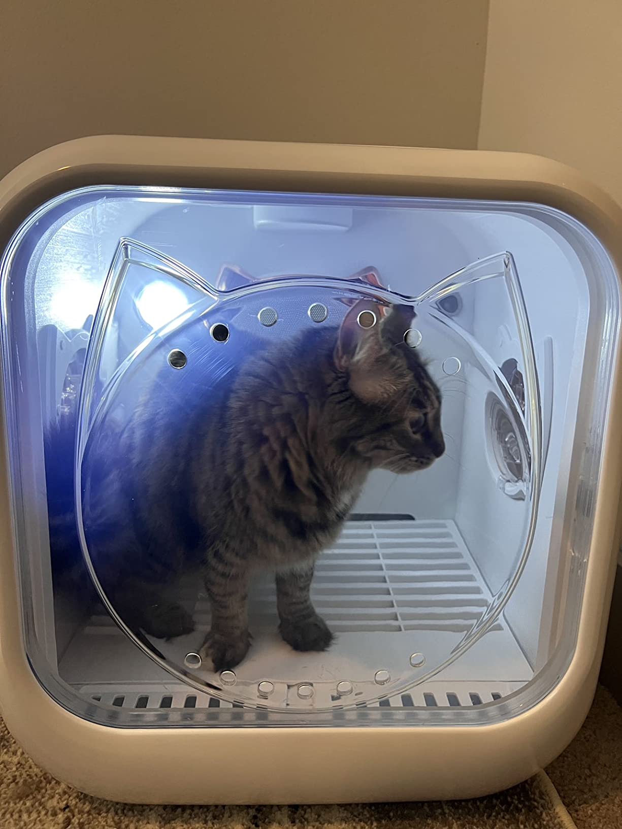 13/mo Finance goodmom Automatic Pet Dryer for Cats and Small Dogs