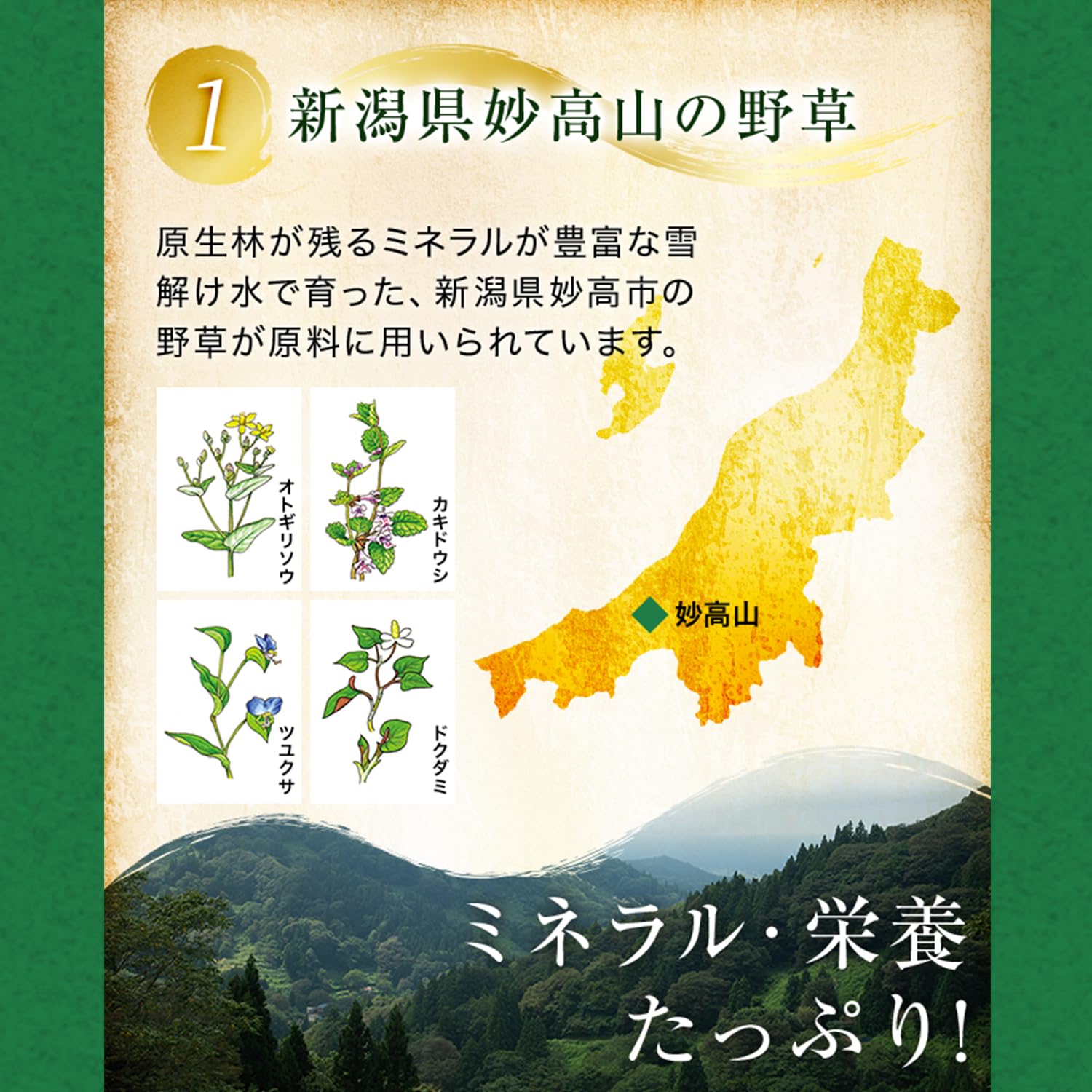 Amazon | 66品目の栄養素がたっぷり！野草酵素 (720ml) | 野草酵素