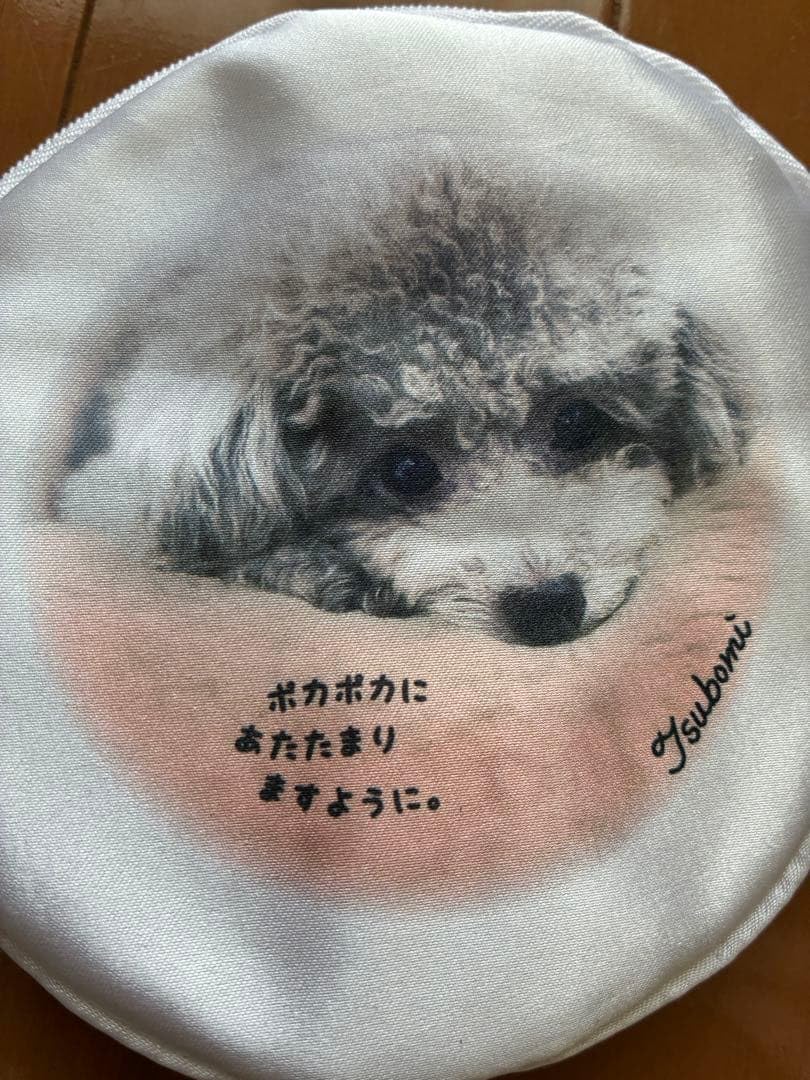 Amazon.co.jp: 郷ひろみ 白ポーチ つぼみちゃんセット : おもちゃ