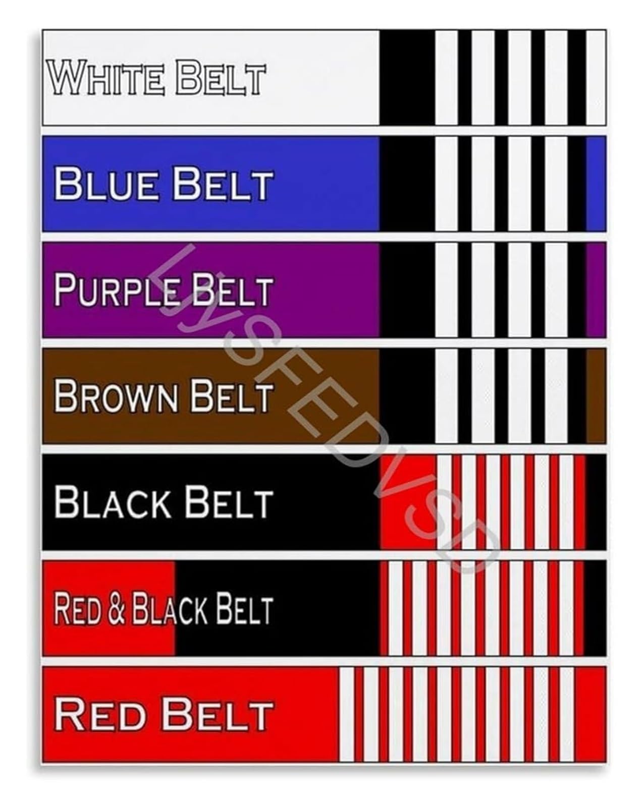 ZDVHOMCB BJJ Belt Rank Roadmap Brazilian Jiu-Jitsu Educational Poster Canvas Wall-Art for Home Dojo Decor Framed,08x12inch(20x30cm)