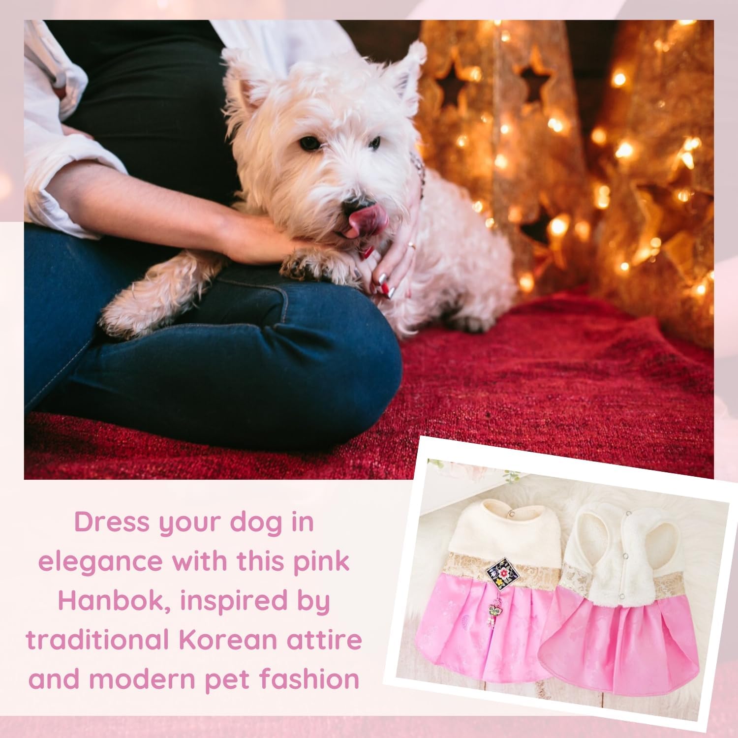 SSONGBYPET Traditional Korean Hanbok for Dogs - Elegant & Timeless Pet Clothing - Showcasing Stylish K-Fashion Design, Ideal for Special Events - Available in Sizes (S-2XL) - XL Size