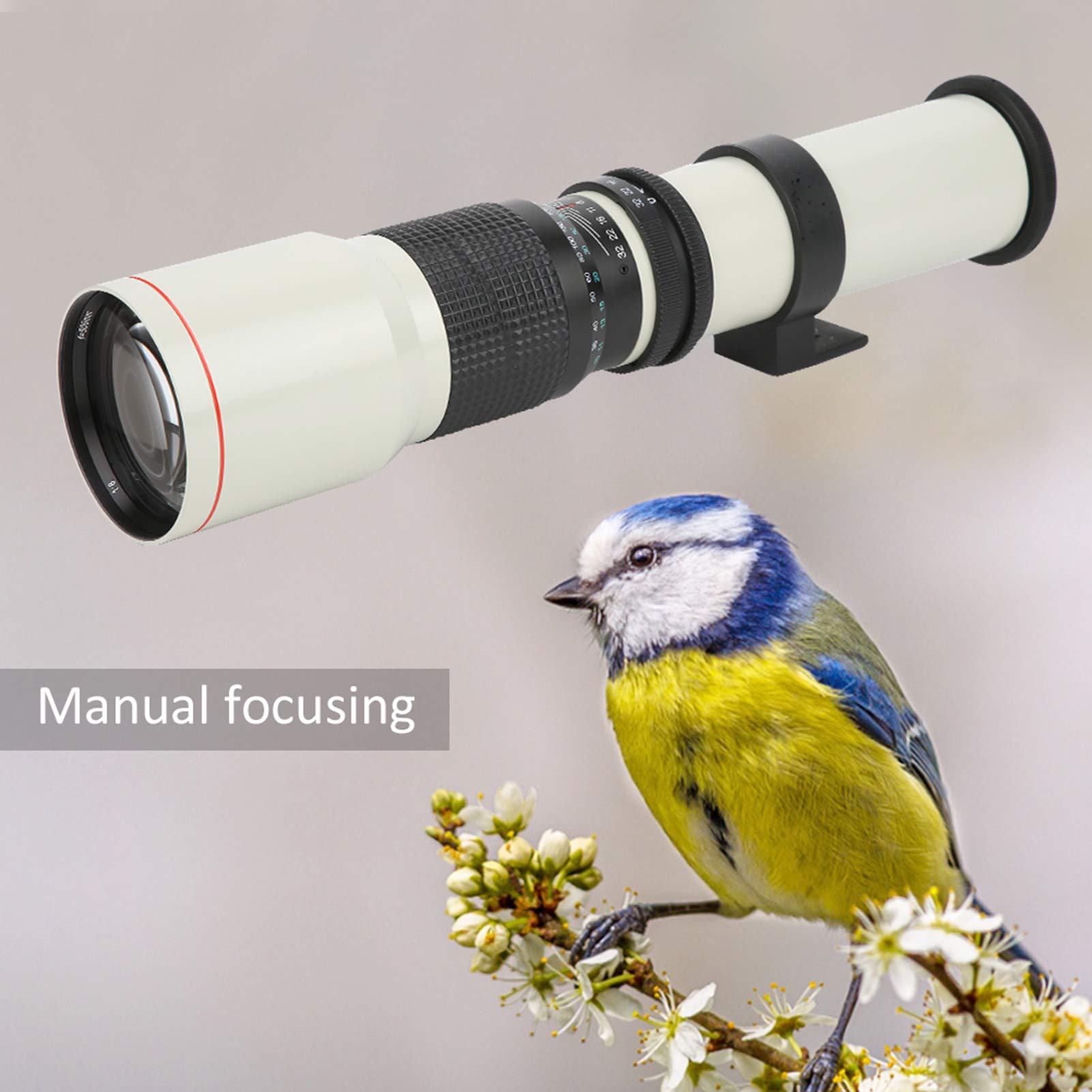 Dit is wat je moet weten over de telelens - Fotografie Community Dit is wat je moet weten over de telelens - Fotografie Community