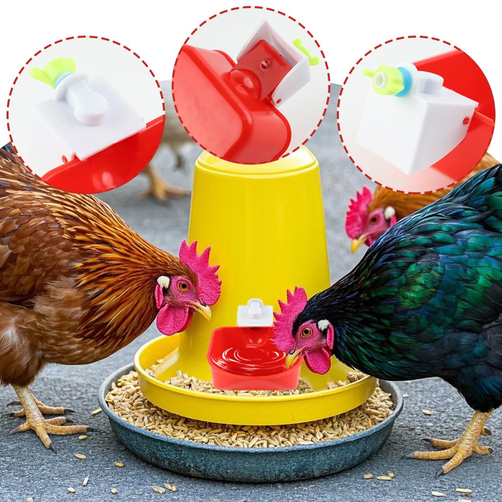 Bebedero Gallinas, 4 Piezas Grandes, Adecuado para Regador para Aves, Palomas, Pollos, Patos(9 x 10,5 cm)