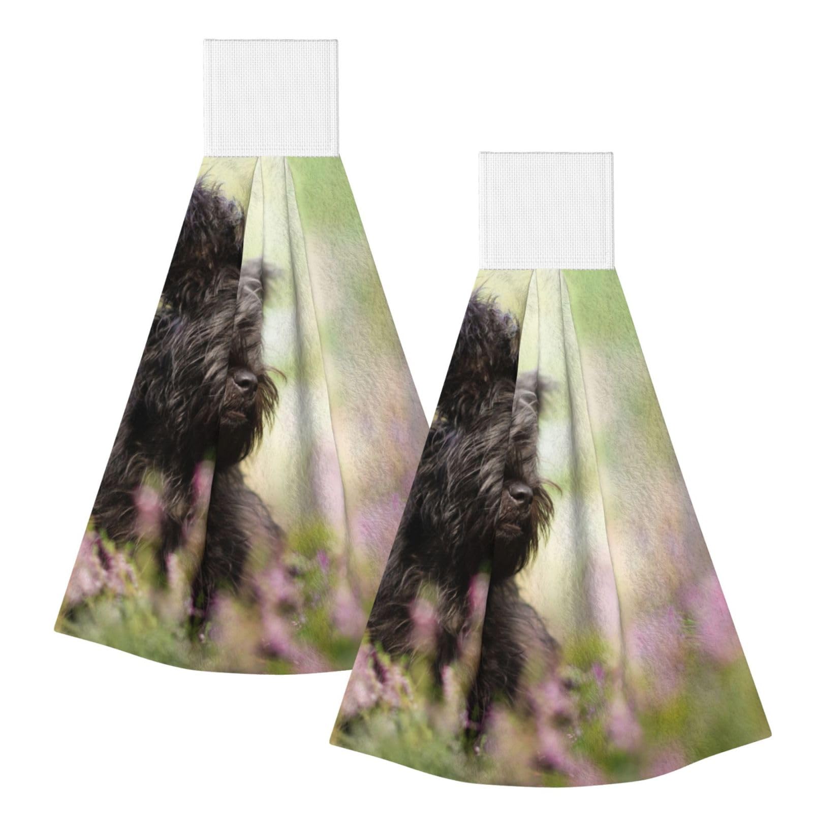 DOPKLNA Affenpinscher Lawn Black Dogs Monkey Terrier, 2 Pcs Hanging Coral Fiber Hand Towels for Bathroom, Absorbent Kitchen Towels