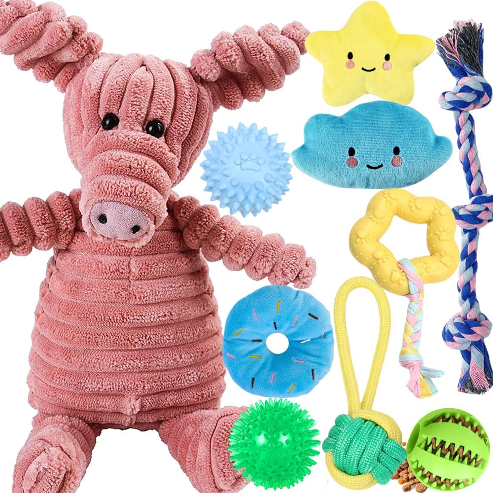 10 Stück Hundespielzeug Kleine Hunde Set, Plüschtier Hundespielzeug mit Quietscher, Hundespielzeug Ball, Quietschend Kauspielzeug für Welpen Große Hunde