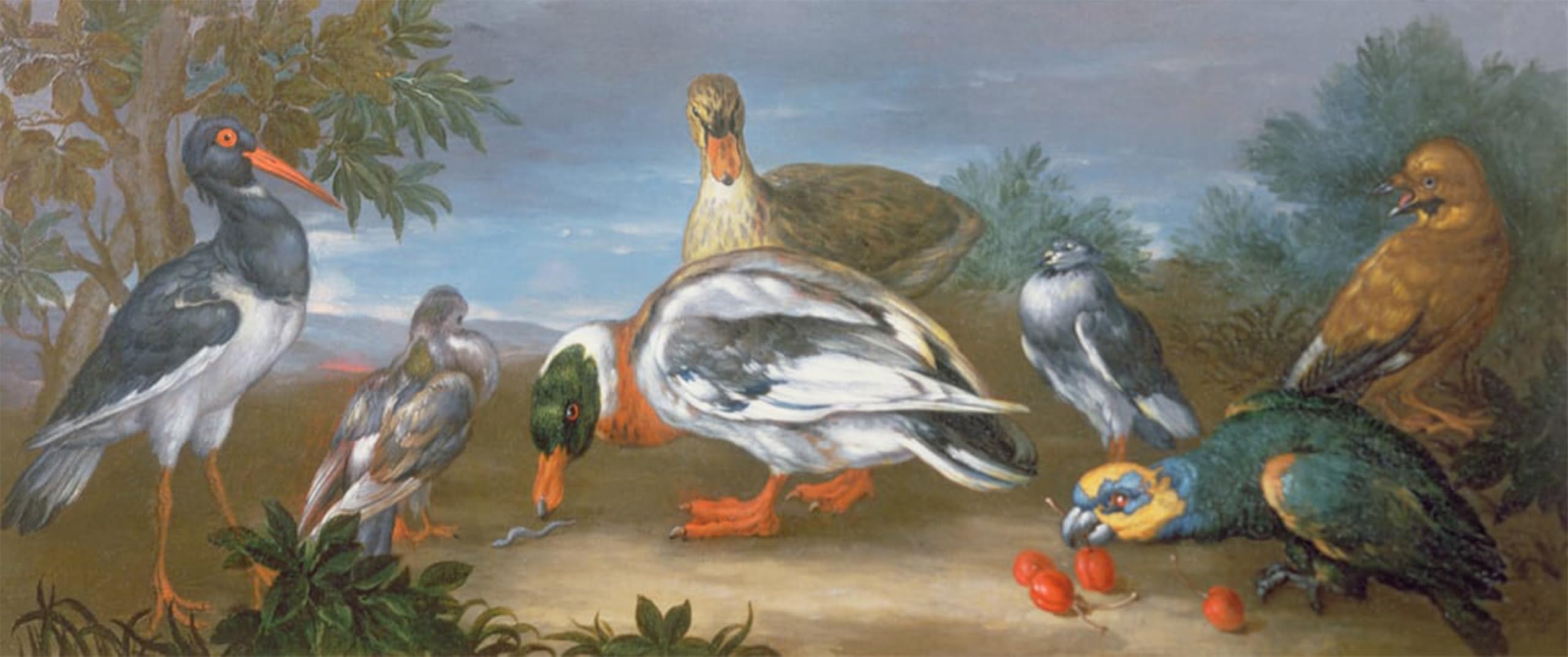 SERENDIPITP Abstract Painting Mural Print Picture Wall Decor Painting a Landscape with Parrots Ducks and Pigeons by Jean Baptiste Monnoyer Vintage Wall Artwork for Home Decor 60x90cm