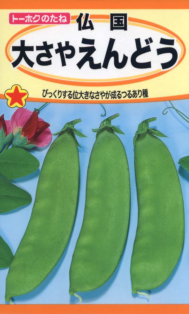 Amazon | 株式会社トーホク 仏国大さやえんどう 01269 | 野菜