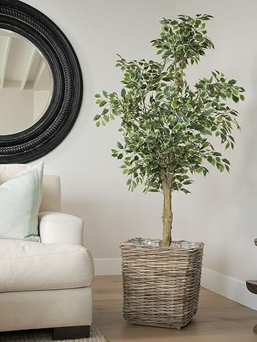 Miniatura 2 de Kouboo Planter Woven Rattan Indoor Outdoor with Drainage Holes Tall Cute Pots Square for Olive Tree Large