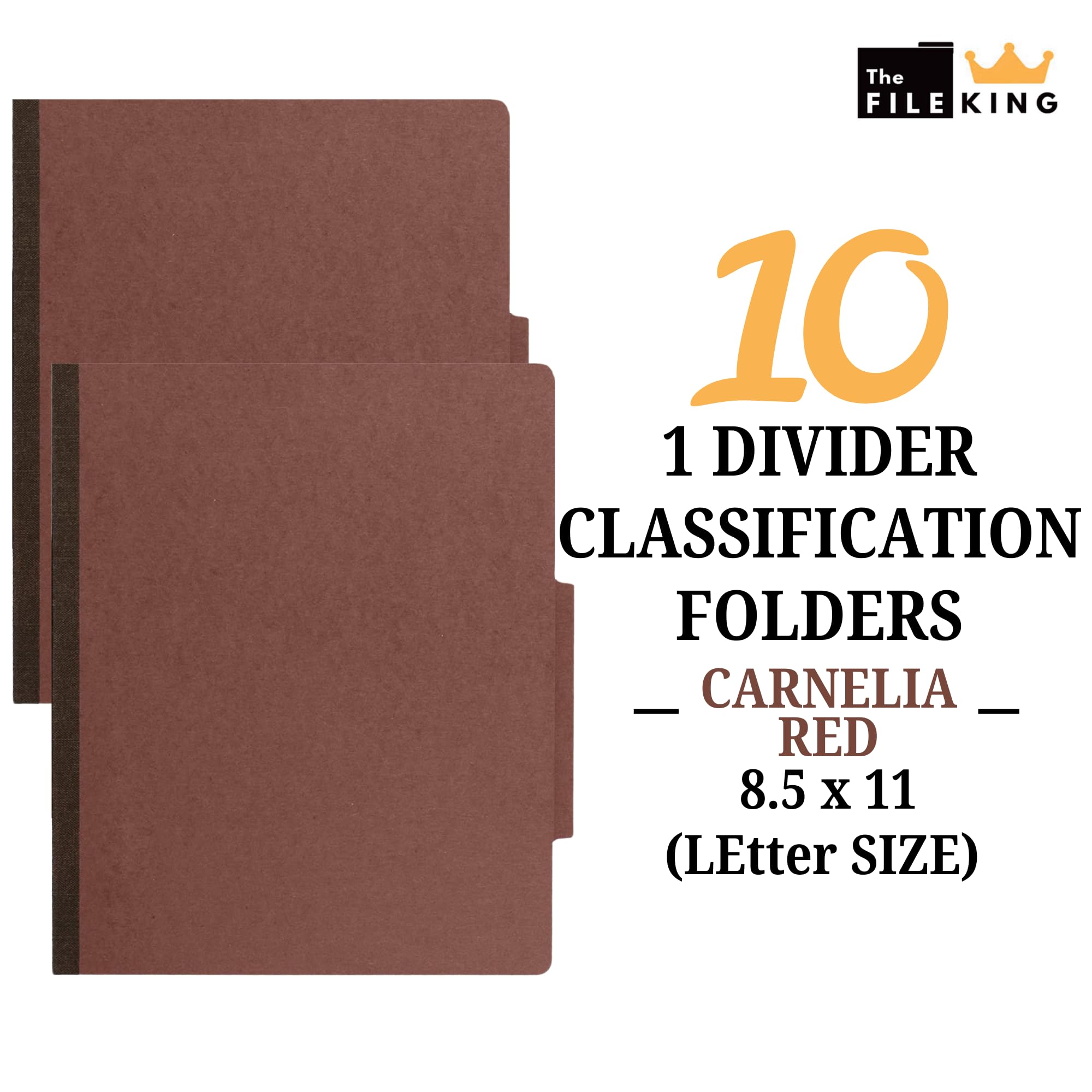 Carpeta clasificadora de archivos, organizador de cartera, tamaño carta, con separadores y cierres, expansión Tyvek, ladrillo rojo, caja de 10