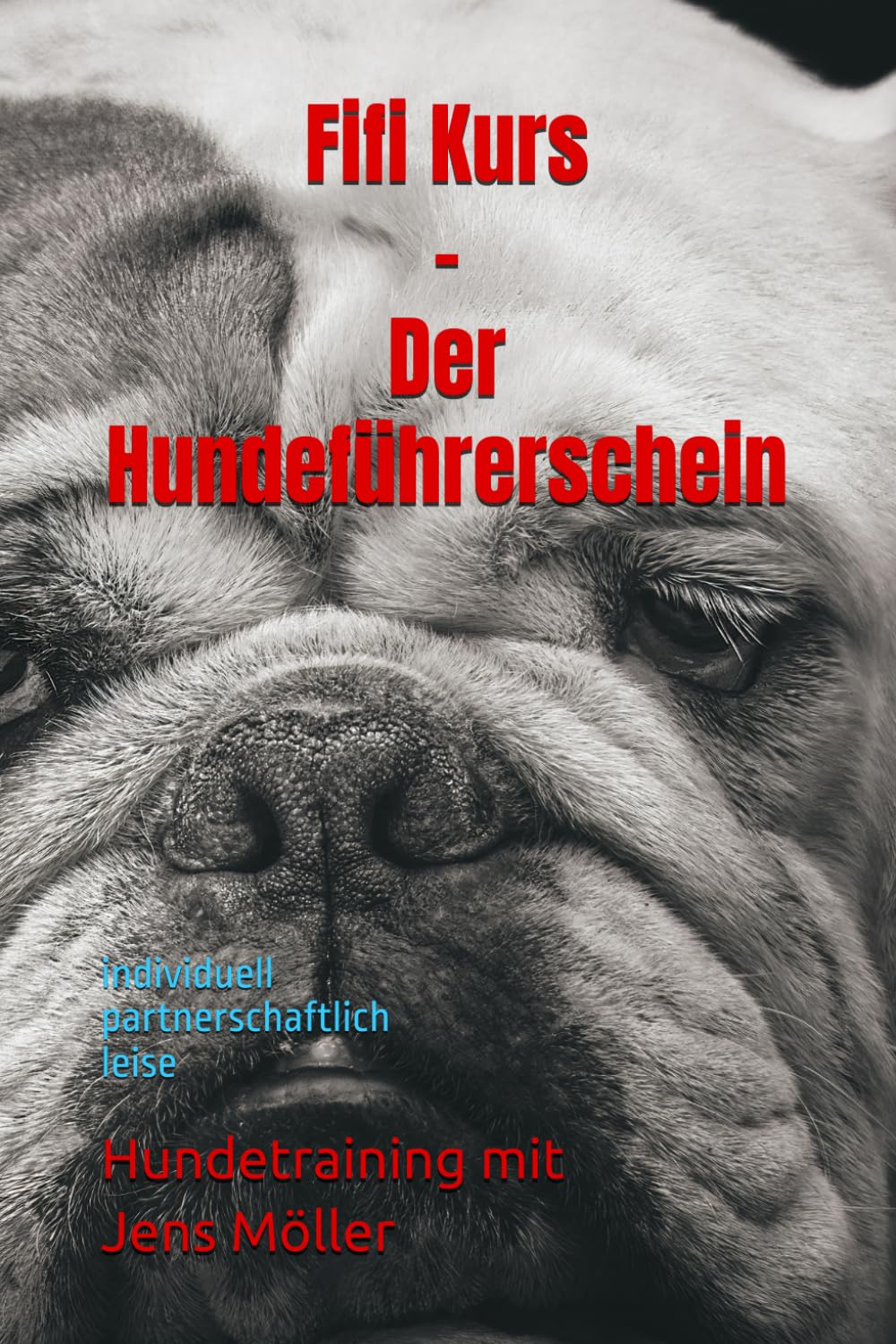 Fifi Kurs - Der Hundeführerschein