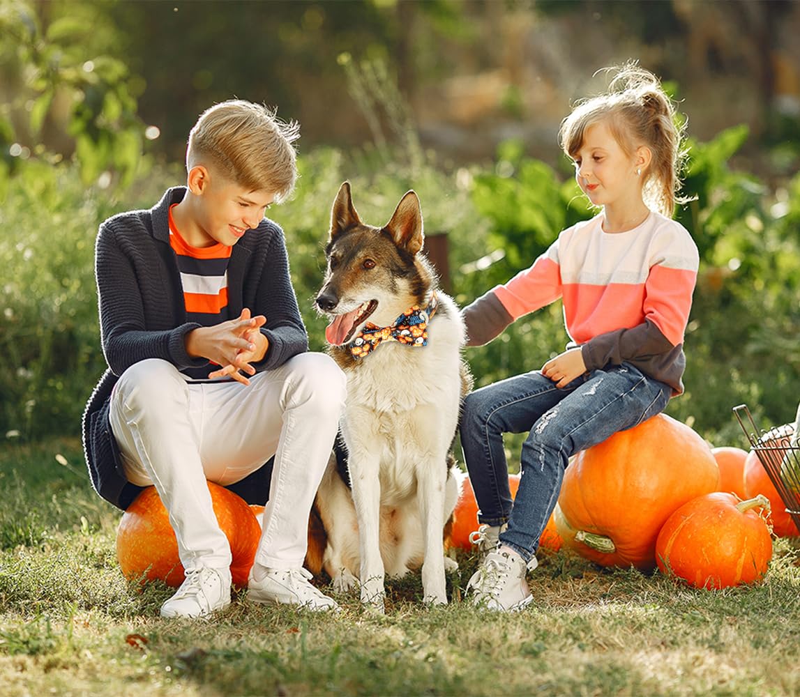 Tunkoo Happy Halloween obroża dla psa z dynią - trwała, regulowana i stylowa obroża dla zwierząt dostępna w rozmiarach S, M, L