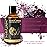 MAYJAM 100ML/3.38FL.OZ Black Orchid Fragrance Oils with Glass Dropper, Essential Oils for Diffusers for Home, Long Lasting Scented Oils for Diffusers Soap Candle Making