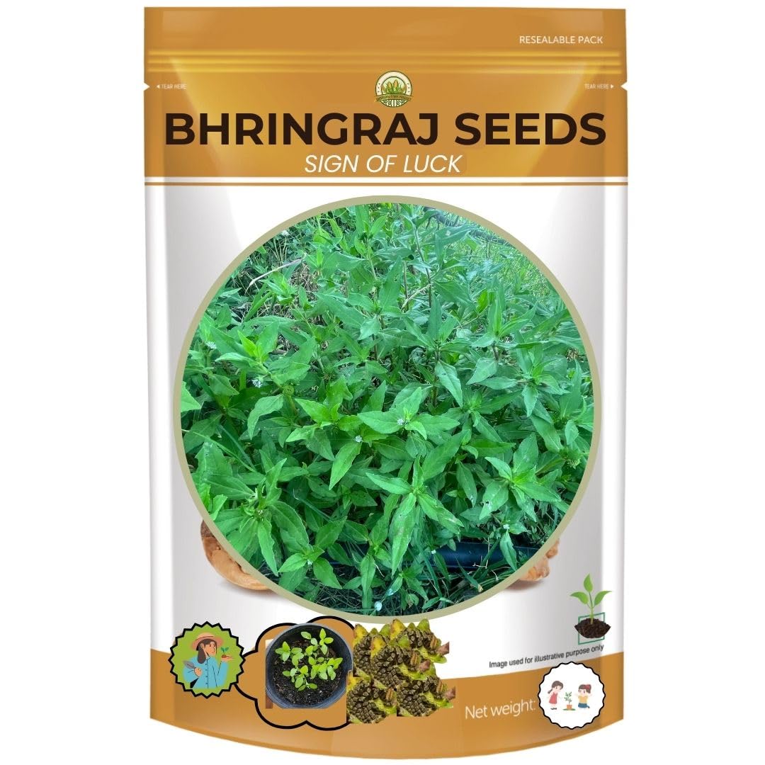 Pack of 80 Seeds | Bhringraj Plant Seeds | Eclipta prostrata| Bhringraj/Karisalangkanni| False daisy Seeds (B0DDCTGJGD) Amazon Price History, Amazon Price Tracker