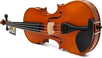 Amazon.com: D'Luca, 4 Strauss Professional Violin Outfit 4/4