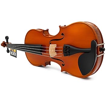 Amazon.com: D'Luca, 4 Strauss Professional Violin Outfit 4/4