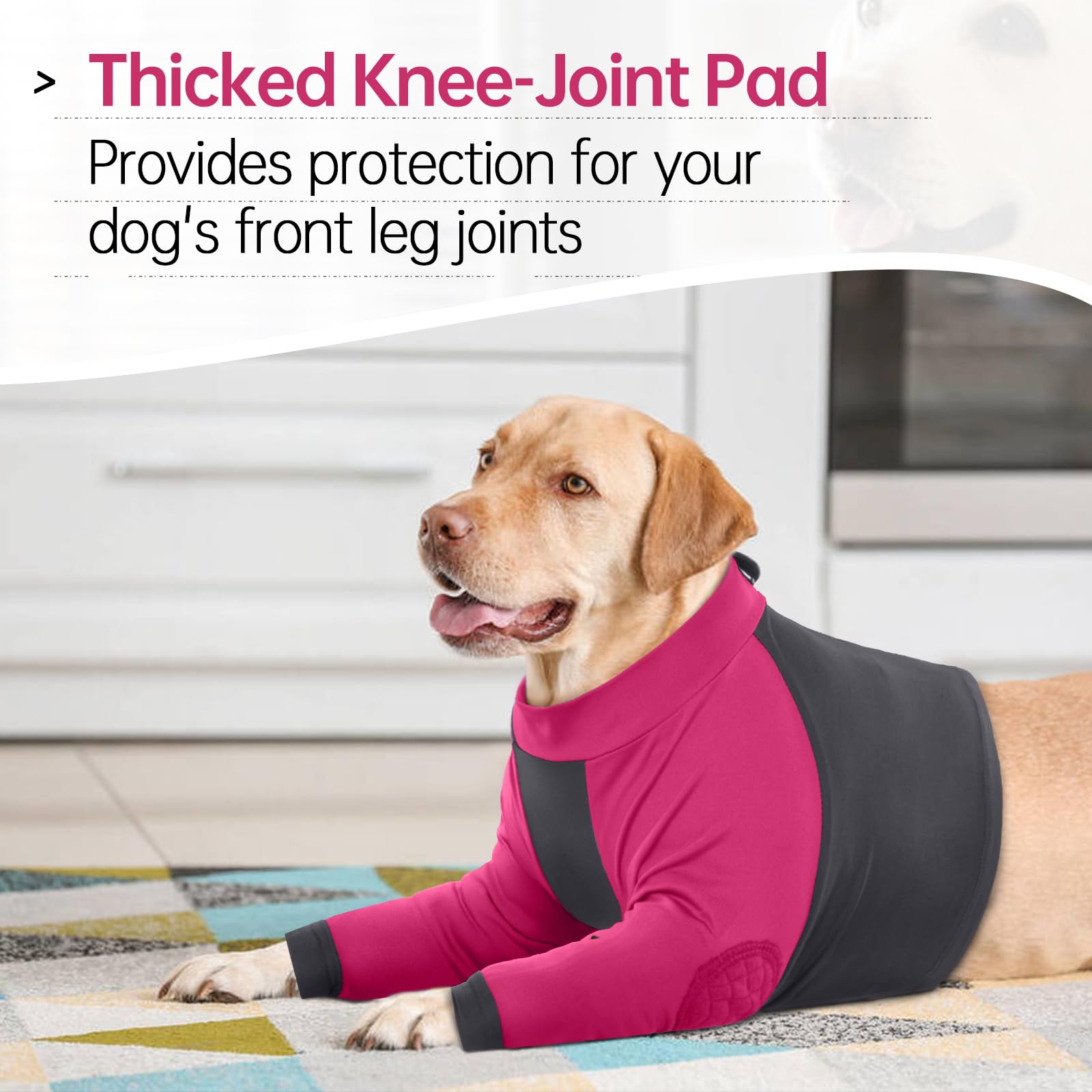 LeLePet Traje de recuperación para perros para patas delanteras, manga de perro para dejar de lamer, protector de codo para lesiones en las piernas, heridas de hombro después de la cirugía, macho y
