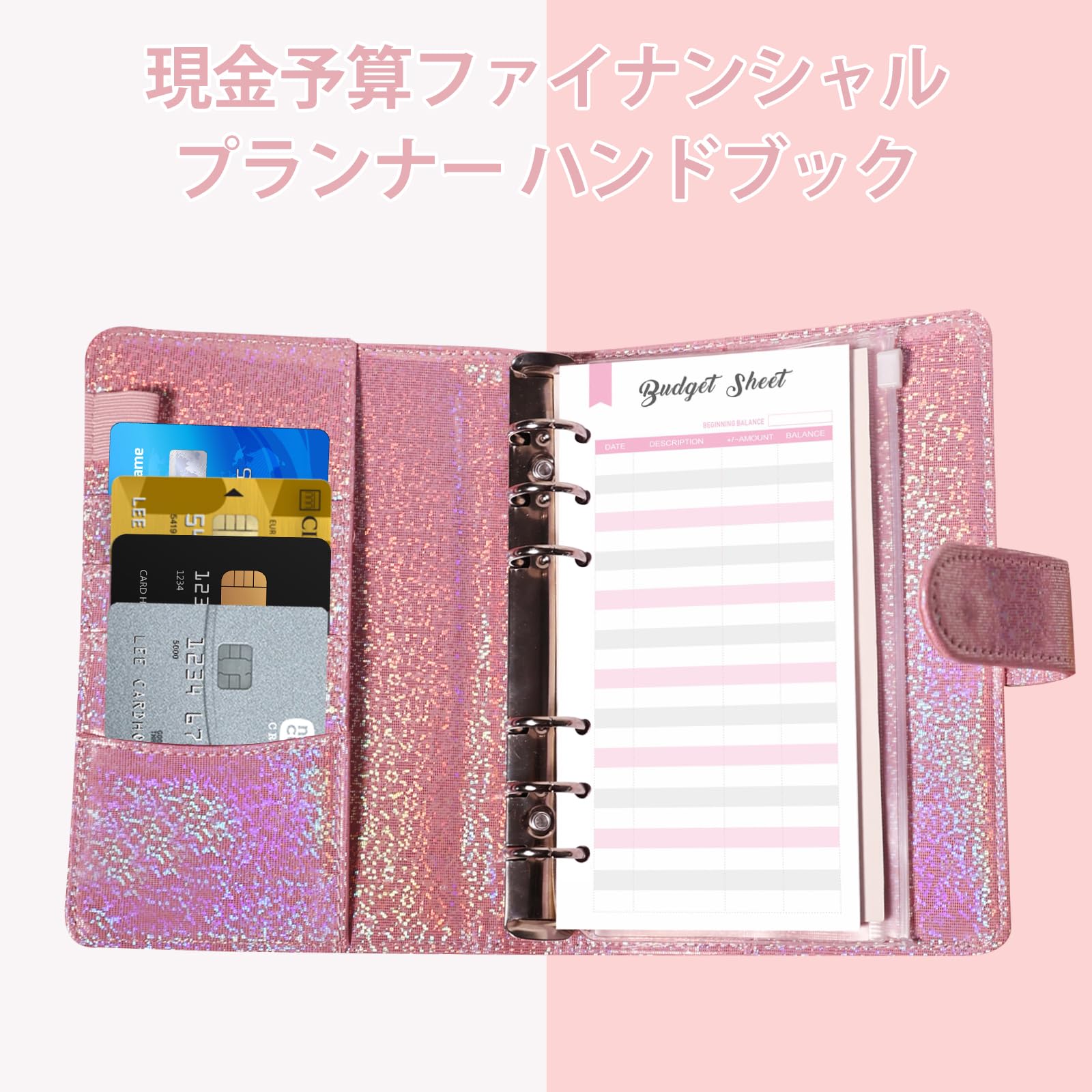 ルーズリーフ家計簿☆オプション家計管理 V:02】半年分or1年分選べる✨クレカ決済欄あり✨オリジナル家計