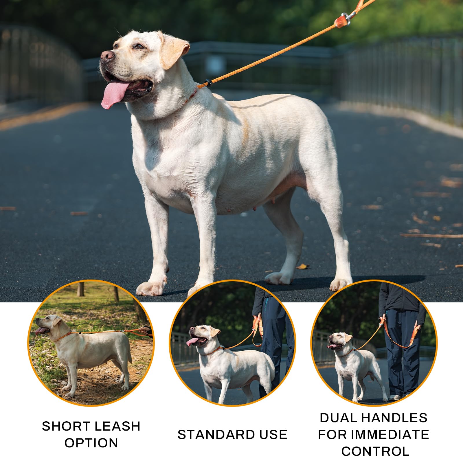 Arblina Guinzaglio per Cani, Guinzaglio Retriever per Cani con Doppie Maniglie, Guinzaglio Cane con Hi-Vis Retro Riflettente, Guinzaglio a Strozzo per Cani con Fermo di Trazione
