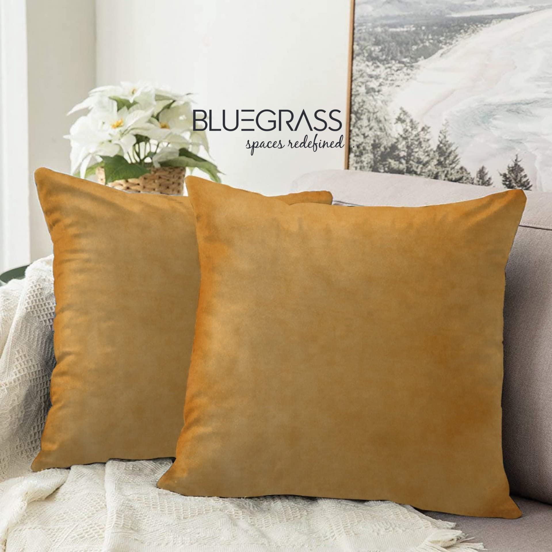 Blue Grass Holland Suede Plain Cushion Cover - Set of 2 || 16x16 Inches || Gold. (B0B31S6GPL) Amazon Price History, Amazon Price Tracker