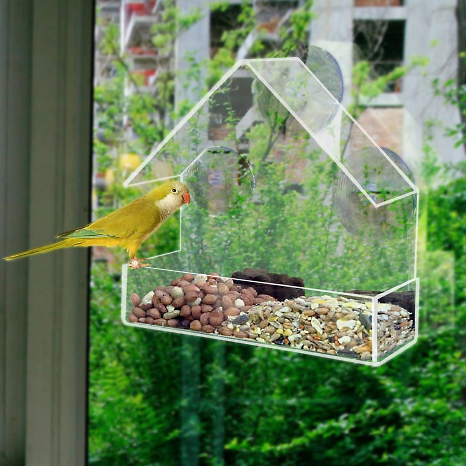 Yuehuamech Mangeoire à Oiseaux Avec Ventouses Puissantes Pour