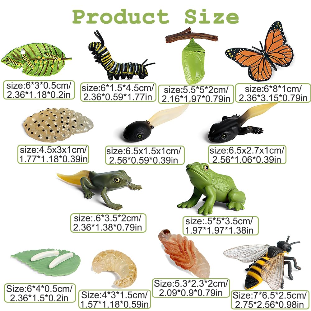 Insect Pattern Learning Toy KBIBCK Insect Life Cycle Toys, 13 PCS Plastic Insect Figurines Set ...