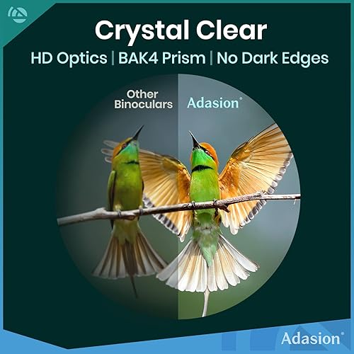 Miniatura 2 de Binocular HD de 12 x 42 (1 unidad) y monocular HD de 12 x 56 (1 unidad) con adaptador universal de teléfono, alta potencia con súper brillante y