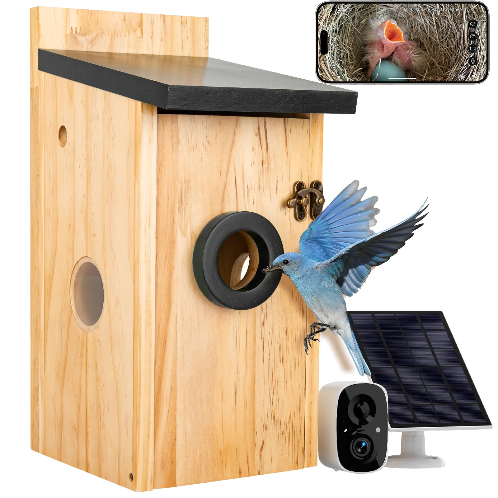 Nichoir intelligent 2K solaire, le cadeau idéal pour passionnés de nature