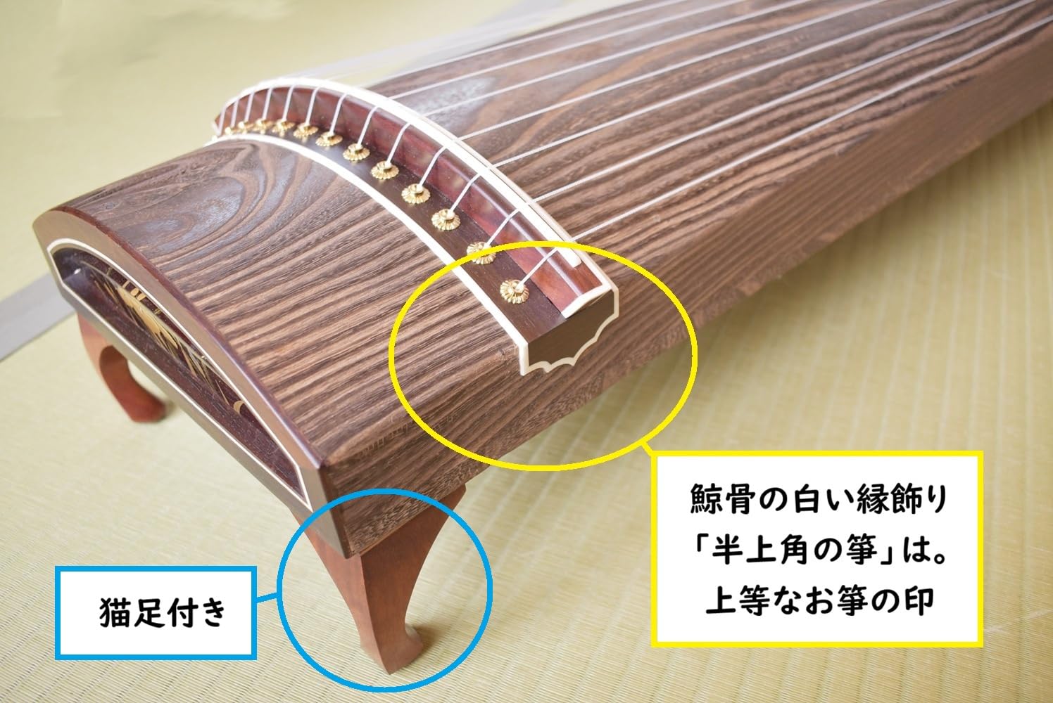Amazon | 河合琴三絃司 [ 初心者 用本格 箏 セット ] 歌舞伎座も認める