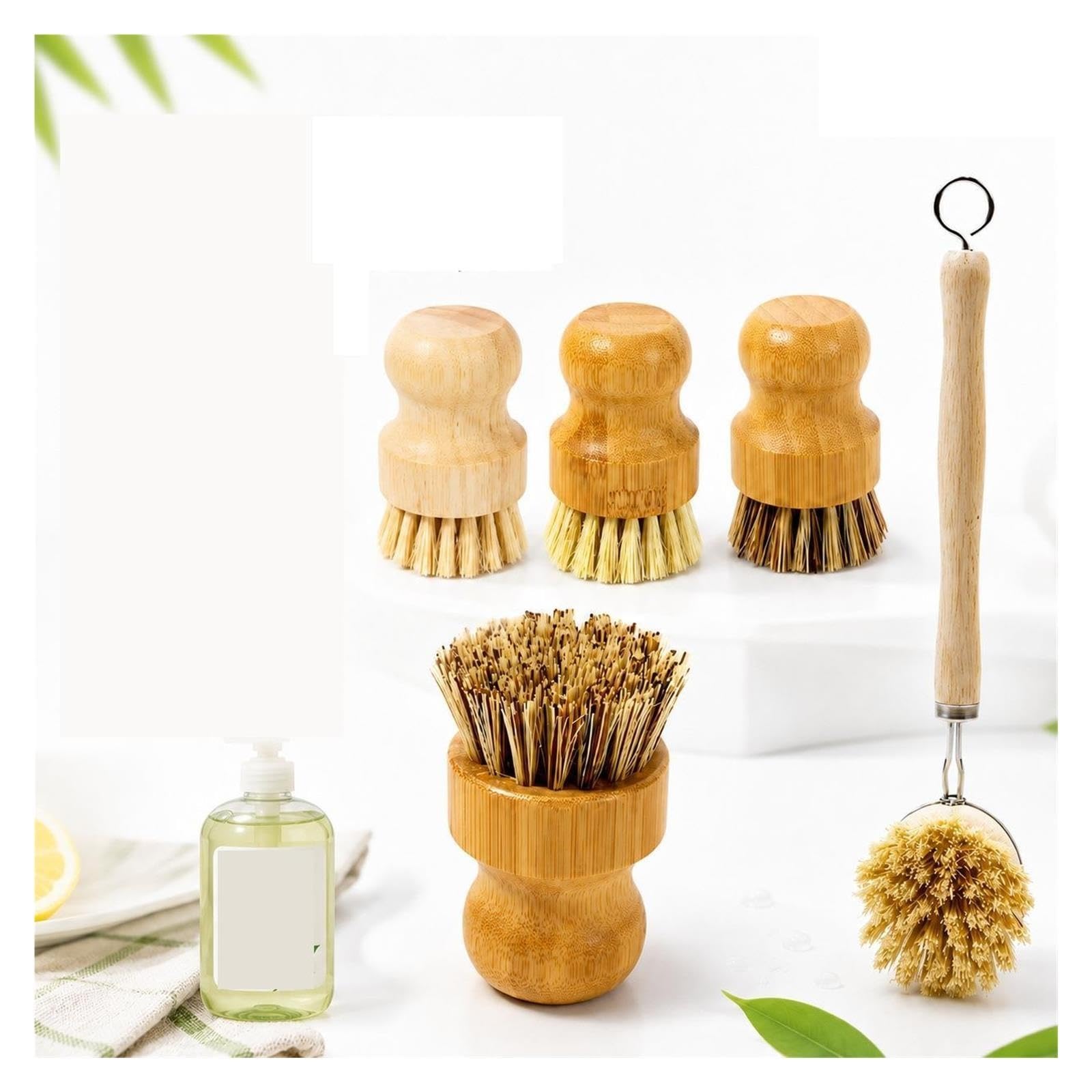1 Set of Beech Wood Pot Brushes with Long and Short Handles pour Cuisine