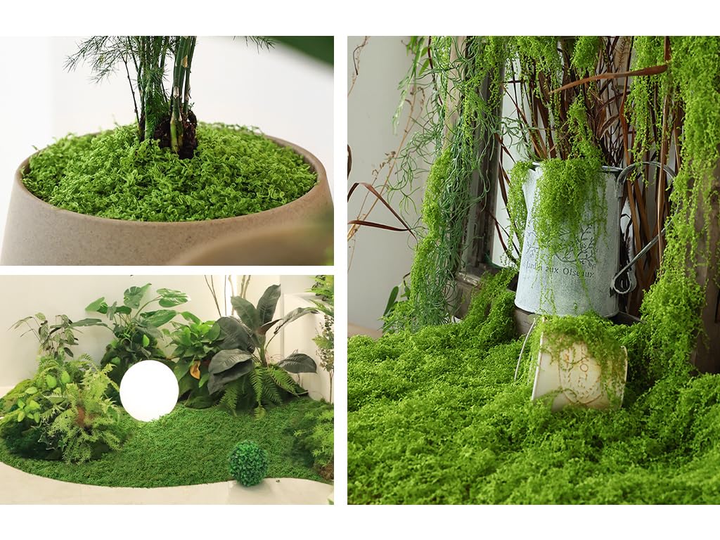 Funngy Muschio Stabilizzato,50 G Muschio Finto Sintetico Lichene Stabilizzato Morbido e Riutilizzabile per Decorazioni Terrario Acquario Parete Verde Artificiale Piante Interno ed Esterno