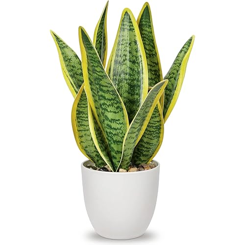 Hollyone Artificial Snake Plant Potted Faux Sansevieria Trifasciata Plants, 13" Tropical Fake Plants in White Pots for Home Office Room Indoor Decor Housewarming Gifts
